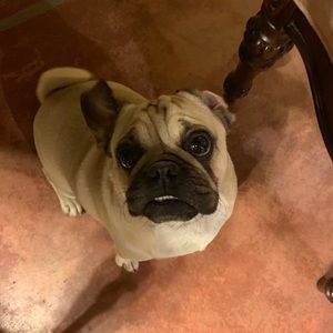 Meet your Posher, Angelina